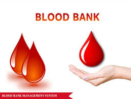 Blood Bank Management System - CodeMint Mint for Sale