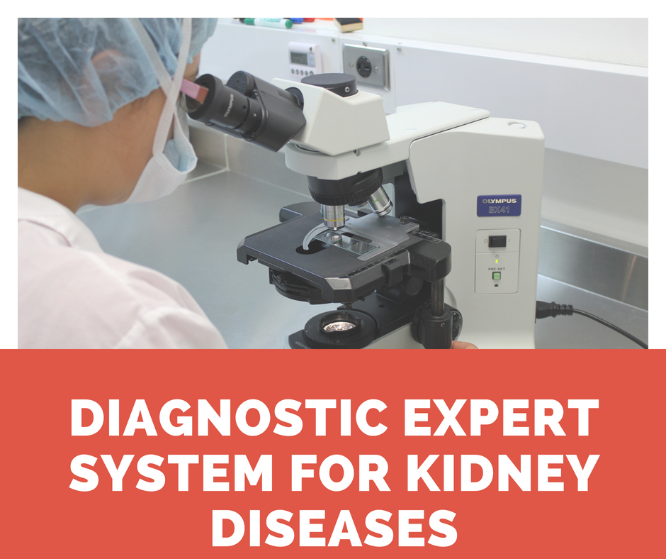 DESIGN AND DEVELOPMENT OF A DIAGNOSTIC EXPERT SYSTEM FOR KIDNEY DISEASES